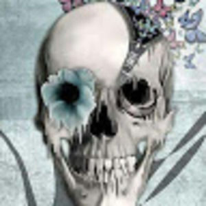 Meet your Posher, Eva